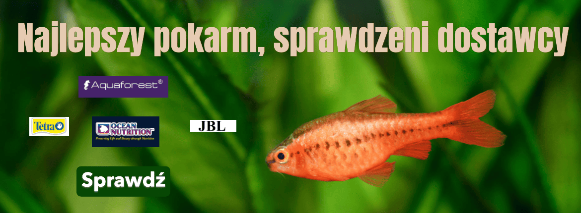 Pokarm dla rybek- Tetra, JBL, Aquaforest